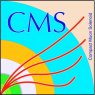 cmsicon